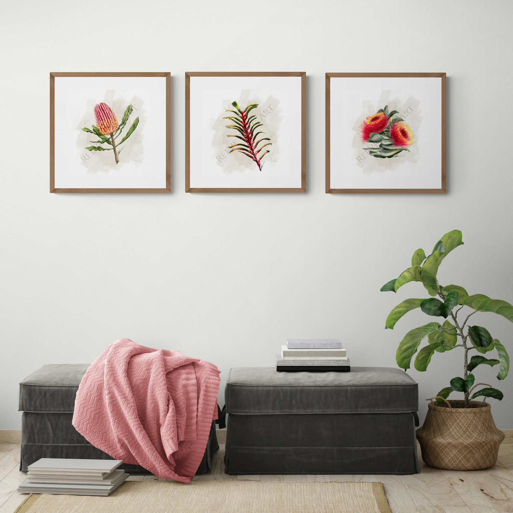 Hamptons Wall Art - Australian Native Flora - Set of three prints