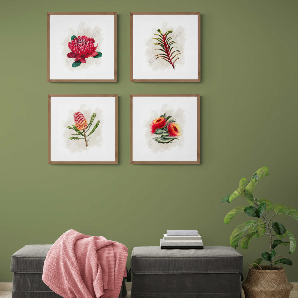 Hamptons Wall Art - Australian Native Botanicals Flora - Set of four prints