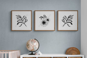 Hamptons Coastal style Botanicals - Set of three prints by Australian artist Reeve King