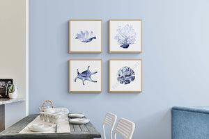 Hamptons set of four coral shell nautical  beach coastal prints by Australian artist Reeve King