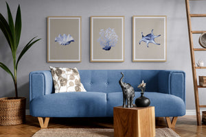 Hamptons set of 3 blue shell coral  nautical  beach coastal prints by Reeve King