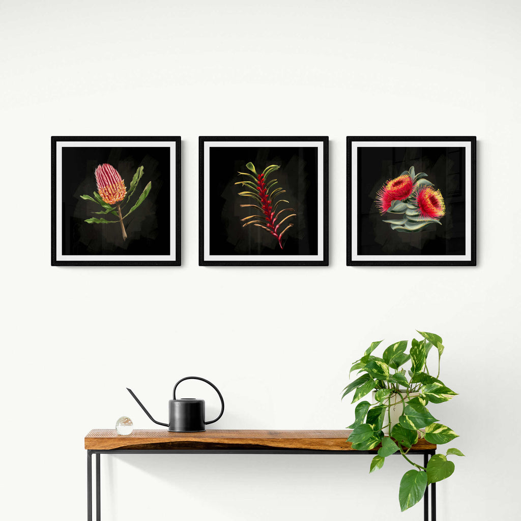 Hamptons Wall Art - Australian Native Botanicals Flora - Set of three prints