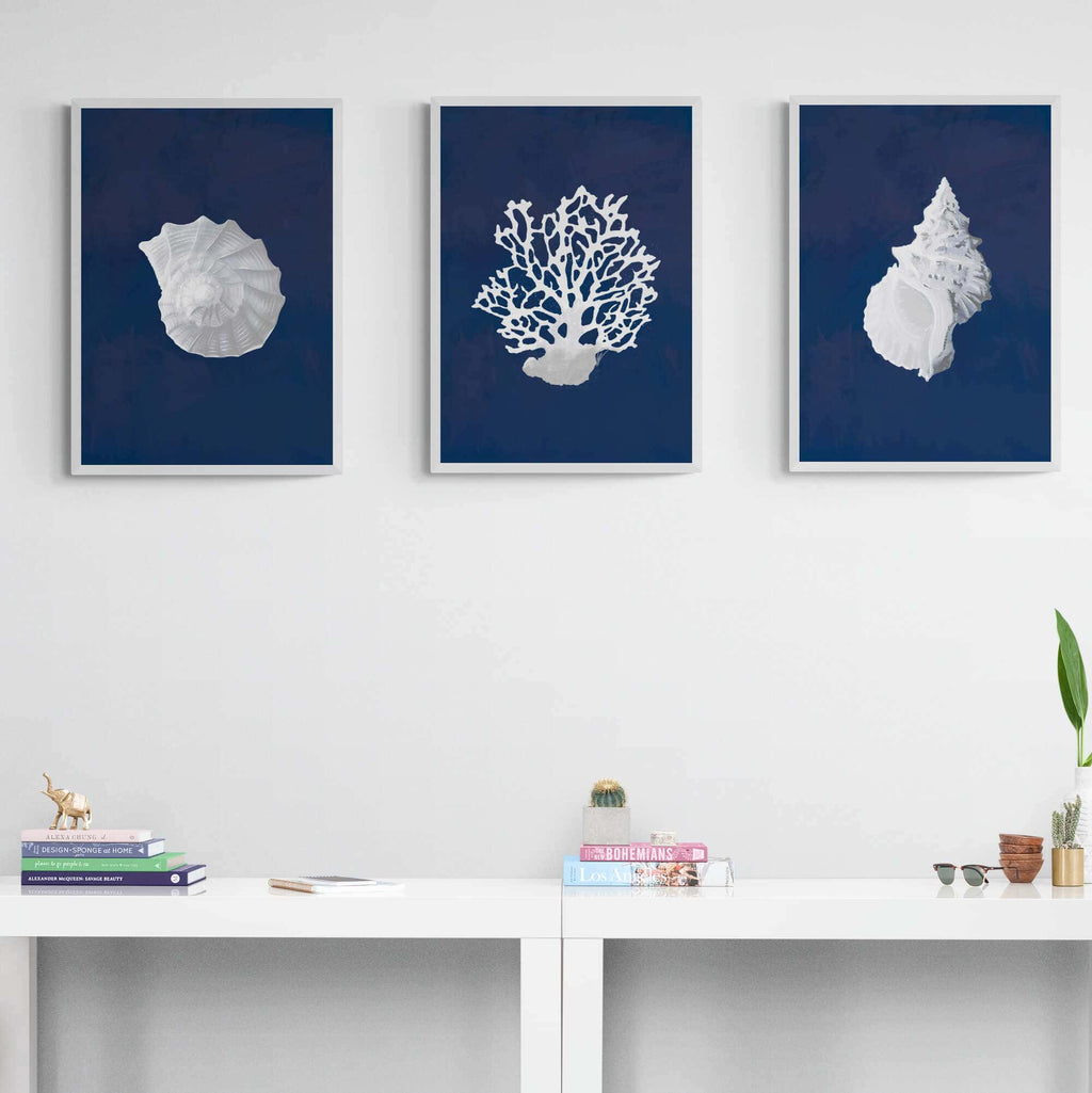Hamptons Wall Art - Set of 3 white on blue shell and coral